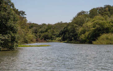 Entre Rios, Argentina.- En las fotos tomadas el 2 de febrero del 2023, muestra un humedal de un parque provincial en tres islas del río Uruguay en la provincia argentina de Entre Rios. El Programa de las Naciones Unidas para el Medio Ambiente (Pnuma) de las Naciones Unidas (ONU) alertó sobre la situación de peligro en que se encuentran los humedales con vegetación, como los pantanos y las marismas y otros entornos acuáticos de todo el mundo. El ente refiere que debido a la contaminación o degradación como consecuencia del cambio climático y el desarrollo humano, al menos el 35 por ciento de los humedales del mundo se perdió en el periodo comprendido entre 1970 y 2015.