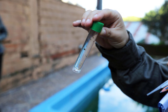 Posadas, Argentina.- En las fotos tomadas el 2 de febrero del 2023, autoridades sanitarias participan de un operativo de prevención del Chikungunya en Posadas, Argentina. La enfermedad, transmitida por el mosquito Aedes aegypti -que también es vector del dengue, zika y fiebre amarilla-, está generando un importante brote en Paraguay, por lo que las autoridades sanitarias argentinas instaron a estar alerta en el país, donde ya hay casos importados en cinco provincias.