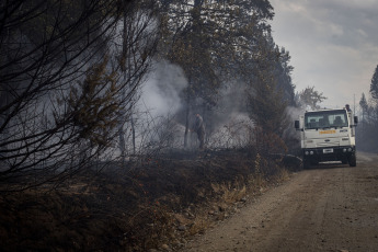 Rio Negro, Argentina.- En las fotos tomadas el 7 de marzo del 2023, muestra el incendio forestal que consumió unas cien hectáreas de vegetación nativa y matorral en El Bolsón, en la provincia de Río Negro. El avance del fuego fue controlado por los brigadistas, mientras que se encuentra detenido un hombre de 30 años por su presunta vinculación con el siniestro.