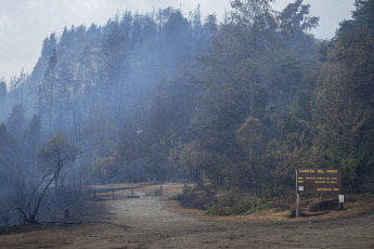 Rio Negro, Argentina.- En las fotos tomadas el 7 de marzo del 2023, muestra el incendio forestal que consumió unas cien hectáreas de vegetación nativa y matorral en El Bolsón, en la provincia de Río Negro. El avance del fuego fue controlado por los brigadistas, mientras que se encuentra detenido un hombre de 30 años por su presunta vinculación con el siniestro.