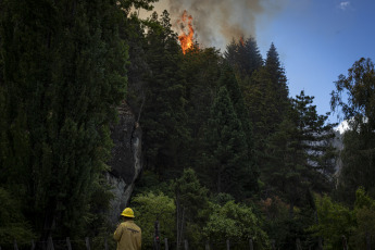 Rio Negro, Argentina.- En las fotos tomadas el 6 de marzo del 2022, cuerpos de bomberos intentan contener las llamas de un incendio forestal en El Bolsón, en la provincia de Río Negro. Sospechan que el fuego habría comenzado de manera intencional, por lo que hay un detenido, según informó el gobierno de Río Negro. Las ráfagas de viento contribuyeron para que en pocos minutos el fuego alcanzara diversos sectores de un cerro, cerca de barrios populares