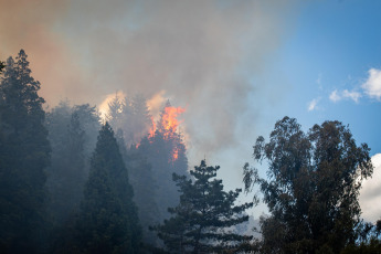 Rio Negro, Argentina.- En las fotos tomadas el 6 de marzo del 2022, cuerpos de bomberos intentan contener las llamas de un incendio forestal en El Bolsón, en la provincia de Río Negro. Sospechan que el fuego habría comenzado de manera intencional, por lo que hay un detenido, según informó el gobierno de Río Negro. Las ráfagas de viento contribuyeron para que en pocos minutos el fuego alcanzara diversos sectores de un cerro, cerca de barrios populares