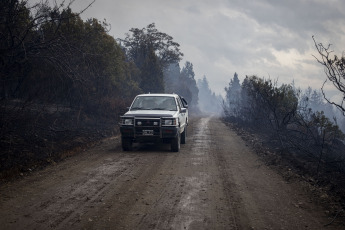 Rio Negro, Argentina.- En las fotos tomadas el 7 de marzo del 2023, muestra el incendio forestal que consumió unas cien hectáreas de vegetación nativa y matorral en El Bolsón, en la provincia de Río Negro. El avance del fuego fue controlado por los brigadistas, mientras que se encuentra detenido un hombre de 30 años por su presunta vinculación con el siniestro.