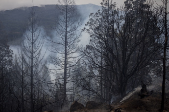 Rio Negro, Argentina.- En las fotos tomadas el 7 de marzo del 2023, muestra el incendio forestal que consumió unas cien hectáreas de vegetación nativa y matorral en El Bolsón, en la provincia de Río Negro. El avance del fuego fue controlado por los brigadistas, mientras que se encuentra detenido un hombre de 30 años por su presunta vinculación con el siniestro.