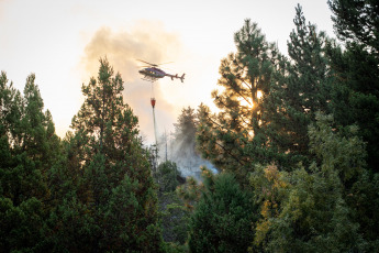 Rio Negro, Argentina.- En las fotos tomadas el 6 de marzo del 2022, cuerpos de bomberos intentan contener las llamas de un incendio forestal en El Bolsón, en la provincia de Río Negro. Sospechan que el fuego habría comenzado de manera intencional, por lo que hay un detenido, según informó el gobierno de Río Negro. Las ráfagas de viento contribuyeron para que en pocos minutos el fuego alcanzara diversos sectores de un cerro, cerca de barrios populares