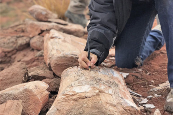 Neuquén, Argentina.- En las fotos tomadas el 14 de abril del 2023, investigadores trabajan en cercanías de la localidad de Añelo en Neuquén, ante el hallazgo del fémur de un titanosaurio. "Nos encontramos en las bardas norte de la localidad de Añelo, a unos tres kilómetros aproximadamente del casco urbano, por el hallazgo de un material de dinosaurio; hasta el momento, un fémur", precisó el paleontólogo de la UNCo, Juan Porfiri, en diálogo con la prensa.