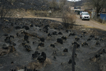 San Luis, Argentina.- En las fotos tomadas el 24 de agosto del 2023, muestra las zonas afectadas tras los incendios forestales que quemaron varias áreas de la provincia de San Luis. Las lluvias trajeron alivio y no se detectan focos de incendios activos en San Luis. Según informó el Ministerio de Seguridad, el cambio de las condiciones climáticas como el descenso de las temperaturas, la ausencia de viento y las leves precipitaciones en la parte de la Sierra Grande de San Luis favorecieron el trabajo de Bomberos y Brigadistas en toda la zona.