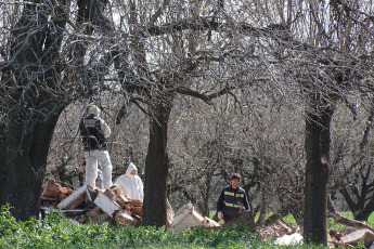 Buenos Aires, Argentina.- En las fotos tomadas el 25 de agosto del 2023, peritos de la Policía Científica, bomberos y brigadas caninas realizaron una inspección en un predio en la localidad bonaerense de General Rodríguez para determinar si una casa ya demolida se trató del lugar donde asesinaron al empresario Fernando Pérez Algaba, el comerciante que fue hallado descuartizado en una valija en Ingeniero Budge, provincia de Buenos Aires. El crimen, fue “premeditado, cometido entre varios, con alevosía y por codicia”, consideraron los investigadores de la Unidad Funcional de Instrucción (UFI) N°5 de Lomas de Zamora , a cargo de la causa.