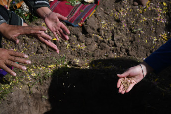 Buenos Aires, Argentina.- En las fotos tomadas el 31 de agosto del 2023, integrantes de pueblos originarios realizan la celebracion de la Pachamama en la Isla Martin Garcia. Con ofrendas, sahumos y sonidos de caracolas sagradas, pueblos originarios celebraron la Pachamama en este lugar considerado una "joya ambiental" en medio del Río de la Plata, con una ceremonia ancestral donde se abrió una boca en la tierra para convidarla con alimentos.