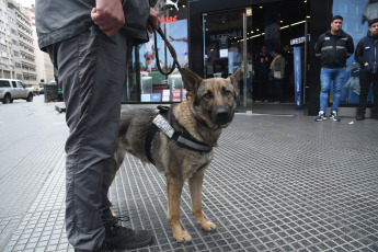 Buenos Aires, Argentina.- En las fotos tomadas el 11 de octubre del 2023, efectivos de la Policía Federal e inspectores de la Administración Federal de Ingresos Públicos (AFIP) llevan adelante operativos de fiscalización en la city porteña con el objetivo de frenar las operaciones en el mercado informal de divisas, donde el denominado dólar "blue" superó la barrera de los 1.000 pesos.