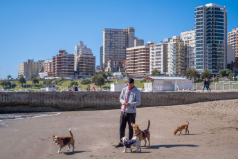 Mar del Plata, Argentina.- En las fotos tomadas el 16 de octubre del 2023, muestra la ciudad turística de Mar del Plata en medio del fin de semana largo. Con el feriado puente del viernes 13 y el del Día del Respeto a la Diversidad Cultural de este lunes 16 de octubre, los argentinos disfrutaron de un fin de semana extra largo de cuatro días no laborables consecutivos. Alrededor de 1,5 millones de personas aprovecharon la quinta edición del Previaje para visitar algunos de los puntos turísticos del país, que en algunos casos alcanzaron el 100