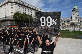 Buenos Aires, Argentina.- In the photos taken on October 10, 2023, the international environmental organization Greenpeace carried out an activity in the Plaza del Congreso in which it displayed panels denouncing that clearings in Argentina increased by 21% compared to the previous year. same period last year. The non-governmental organization (NGO) once again called on citizens to vote on the penalization of illegal clearings and participate in the Popular Consultation.