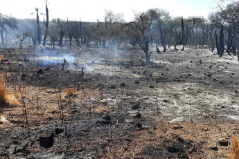 Córdoba, Argentina.- En las fotos tomadas el 10 de octubre del 2023, muestra los incendios forestales que afectaron la provincia de Córdoba, Argentina. Personal de Bomberos de Córdoba evacuó a más de 20 familias en la localidad de Villa Carlos Paz, debido a los incendios forestales que se registraron en el lugar, que alcanzaron zonas residenciales y arrasó miles de hectáreas. Este miércoles, se registraron algunas precipitaciones en las zonas afectadas, lo que benefició el intenso trabajo de los brigadistas que controlaron el siniestro.