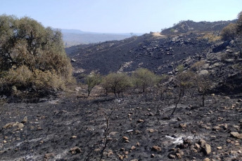 Córdoba, Argentina.- En las fotos tomadas el 10 de octubre del 2023, muestra los incendios forestales que afectaron la provincia de Córdoba, Argentina. Personal de Bomberos de Córdoba evacuó a más de 20 familias en la localidad de Villa Carlos Paz, debido a los incendios forestales que se registraron en el lugar, que alcanzaron zonas residenciales y arrasó miles de hectáreas. Este miércoles, se registraron algunas precipitaciones en las zonas afectadas, lo que benefició el intenso trabajo de los brigadistas que controlaron el siniestro.