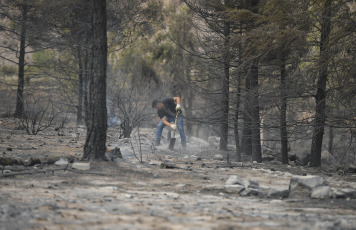 Mendoza, Argentina. En las fotos tomadas el 30 de octubre del 2023, muestra las zonas afectadas por un incendio en Luján de Cuyo provocado por el viento Zonda. Aunque algunos focos aún siguen activos, unas 82 personas tuvieron que ser evacuadas a un polideportivo de esa ciudad mendocina, se informó oficialmente. Según fuentes oficiales, se estima que el fuego afectó una extensión de más de 4.000 hectáreas en toda la provincia.