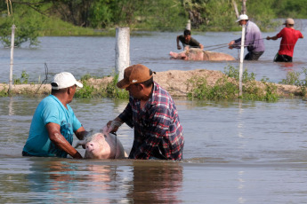 Corrientes, Argentina.- En las fotos tomadas el 8 de noviembre del 2023, Corrientes registra más de mil evacuados y gran cantidad de familias autoevacuadas en localidades ribereñas por la creciente de los ríos Paraná y Uruguay, informó la Dirección de Defensa de Defensa Civil de la provincia, aunque adelantaron que se espera el comienzo de la bajante, que comenzaría en 48 o 72 horas. El jefe de Operaciones de Defensa Civil, Orlando Bertoni, confirmó que los afectados superarían las 1200 personas entre evacuados y autoevacuados.