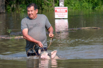 Corrientes, Argentina.- En las fotos tomadas el 8 de noviembre del 2023, Corrientes registra más de mil evacuados y gran cantidad de familias autoevacuadas en localidades ribereñas por la creciente de los ríos Paraná y Uruguay, informó la Dirección de Defensa de Defensa Civil de la provincia, aunque adelantaron que se espera el comienzo de la bajante, que comenzaría en 48 o 72 horas. El jefe de Operaciones de Defensa Civil, Orlando Bertoni, confirmó que los afectados superarían las 1200 personas entre evacuados y autoevacuados.