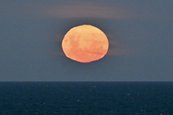 Chubut, Argentina.- En las fotos tomadas el 26 de diciembre del 2023, muestra la última superluna llena de 2023, que se pudo observar durante la noche del miércoles en Puerto Madryn, Argentina. Se trata de la luna fría, el plenilunio de diciembre, la primera del invierno y también la que da la despedida al año. El satélite refleja la máxima cantidad de luz solar de su ciclo. Con este plenilunio se completaron 13 lunas llenas durante el 2023.