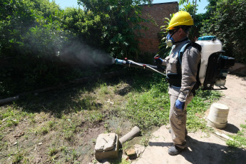 Corrientes, Argentina.- En las fotos tomadas el 29 de diciembre del 2023, autoridades participan de la fumigación contra el mosquito aedes aegypty transmisor de la enfermedad del dengue en Corrientes, Argentina. Un brote de dengue se registra en la capital de Corrientes y en algunas localidades del interior provincial, con entre 80 y 100 casos por semana, y autoridades del Ministerio de Salud ratificaron el estado de alerta e instaron a los ciudadanos a extremar las medidas de prevención.