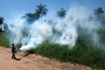 Corrientes, Argentina.- En las fotos tomadas el 29 de diciembre del 2023, autoridades participan de la fumigación contra el mosquito aedes aegypty transmisor de la enfermedad del dengue en Corrientes, Argentina. Un brote de dengue se registra en la capital de Corrientes y en algunas localidades del interior provincial, con entre 80 y 100 casos por semana, y autoridades del Ministerio de Salud ratificaron el estado de alerta e instaron a los ciudadanos a extremar las medidas de prevención.