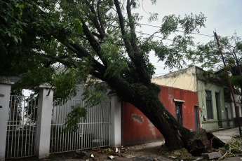 Buenos Aires, Argentina.- En las fotos tomadas el 19 de diciembre del 2023, el Gobierno de la ciudad de Buenos Aires mantiene un operativo para atender los más de 5.000 reportes de árboles caídos o por caer, cables cortados o colgando, carteles rotos y otras consecuencias del temporal que afectó la región del Área Metropolitana de Buenos Aires (AMBA), se informó oficialmente. El Gobierno de la provincia de Buenos Aires declaró este lunes el estado de emergencia y duelo para las próximas 72 horas en su territorio a causa del temporal sufrido este fin de semana que dejó al menos 14 muertos y numerosos destrozos.