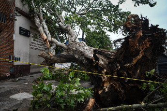 Buenos Aires, Argentina.- En las fotos tomadas el 19 de diciembre del 2023, el Gobierno de la ciudad de Buenos Aires mantiene un operativo para atender los más de 5.000 reportes de árboles caídos o por caer, cables cortados o colgando, carteles rotos y otras consecuencias del temporal que afectó la región del Área Metropolitana de Buenos Aires (AMBA), se informó oficialmente. El Gobierno de la provincia de Buenos Aires declaró este lunes el estado de emergencia y duelo para las próximas 72 horas en su territorio a causa del temporal sufrido este fin de semana que dejó al menos 14 muertos y numerosos destrozos.