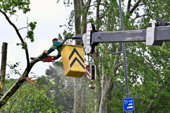 Buenos Aires, Argentina.- En las fotos tomadas el 19 de diciembre del 2023, el Gobierno de la ciudad de Buenos Aires mantiene un operativo para atender los más de 5.000 reportes de árboles caídos o por caer, cables cortados o colgando, carteles rotos y otras consecuencias del temporal que afectó la región del Área Metropolitana de Buenos Aires (AMBA), se informó oficialmente. El Gobierno de la provincia de Buenos Aires declaró este lunes el estado de emergencia y duelo para las próximas 72 horas en su territorio a causa del temporal sufrido este fin de semana que dejó al menos 14 muertos y numerosos destrozos.