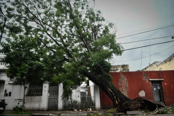 Buenos Aires, Argentina.- En las fotos tomadas el 19 de diciembre del 2023, el Gobierno de la ciudad de Buenos Aires mantiene un operativo para atender los más de 5.000 reportes de árboles caídos o por caer, cables cortados o colgando, carteles rotos y otras consecuencias del temporal que afectó la región del Área Metropolitana de Buenos Aires (AMBA), se informó oficialmente. El Gobierno de la provincia de Buenos Aires declaró este lunes el estado de emergencia y duelo para las próximas 72 horas en su territorio a causa del temporal sufrido este fin de semana que dejó al menos 14 muertos y numerosos destrozos.