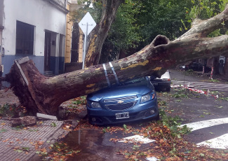 Buenos Aires, Argentina.- En las fotos tomadas el 19 de diciembre del 2023, el Gobierno de la ciudad de Buenos Aires mantiene un operativo para atender los más de 5.000 reportes de árboles caídos o por caer, cables cortados o colgando, carteles rotos y otras consecuencias del temporal que afectó la región del Área Metropolitana de Buenos Aires (AMBA), se informó oficialmente. El Gobierno de la provincia de Buenos Aires declaró este lunes el estado de emergencia y duelo para las próximas 72 horas en su territorio a causa del temporal sufrido este fin de semana que dejó al menos 14 muertos y numerosos destrozos.