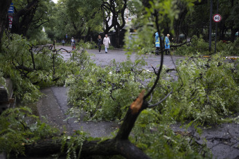 Buenos Aires, Argentina.- En las fotos tomadas el 19 de diciembre del 2023, el Gobierno de la ciudad de Buenos Aires mantiene un operativo para atender los más de 5.000 reportes de árboles caídos o por caer, cables cortados o colgando, carteles rotos y otras consecuencias del temporal que afectó la región del Área Metropolitana de Buenos Aires (AMBA), se informó oficialmente. El Gobierno de la provincia de Buenos Aires declaró este lunes el estado de emergencia y duelo para las próximas 72 horas en su territorio a causa del temporal sufrido este fin de semana que dejó al menos 14 muertos y numerosos destrozos.