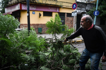 Buenos Aires, Argentina.- En las fotos tomadas el 19 de diciembre del 2023, el Gobierno de la ciudad de Buenos Aires mantiene un operativo para atender los más de 5.000 reportes de árboles caídos o por caer, cables cortados o colgando, carteles rotos y otras consecuencias del temporal que afectó la región del Área Metropolitana de Buenos Aires (AMBA), se informó oficialmente. El Gobierno de la provincia de Buenos Aires declaró este lunes el estado de emergencia y duelo para las próximas 72 horas en su territorio a causa del temporal sufrido este fin de semana que dejó al menos 14 muertos y numerosos destrozos.