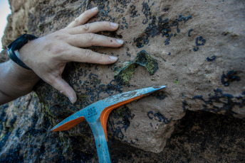 Mar del Plata, Argentina.- En las fotos tomadas el 13 de diciembre del 2023, el paleontólogo Matías Taglioretti, de Ciencias Naturales, investiga en el lugar donde un joven y su padre encontraron restos fósiles pertenecientes a un Toxodon por las barrancas del norte de la ciudad de Mar del Plata. El Toxodon, es un animal nativo sudamericano similar en aspecto a los hipopótamos y que podía medir unos 3.5 metros de largo y 1.60 de alto, informó el museo de Ciencias Naturales de esta ciudad bonaerense.