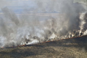 Chubut, Argentina.- En las fotos tomadas el 12 de diciembre del 2023, muestra el incendio forestal que afectó la zona rural de Puerto Lobos en Chubut. Según informó la secretaria de Vinculación Ciudadana de la Provincia, el incendió logró "controlarse", mientras cuerpos de bomberos continuaba trabajando en el lugar en carácter preventivo por el cambio del viento.