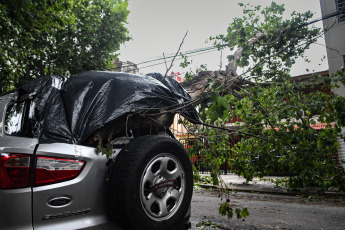 Buenos Aires, Argentina.- En las fotos tomadas el 19 de diciembre del 2023, el Gobierno de la ciudad de Buenos Aires mantiene un operativo para atender los más de 5.000 reportes de árboles caídos o por caer, cables cortados o colgando, carteles rotos y otras consecuencias del temporal que afectó la región del Área Metropolitana de Buenos Aires (AMBA), se informó oficialmente. El Gobierno de la provincia de Buenos Aires declaró este lunes el estado de emergencia y duelo para las próximas 72 horas en su territorio a causa del temporal sufrido este fin de semana que dejó al menos 14 muertos y numerosos destrozos.