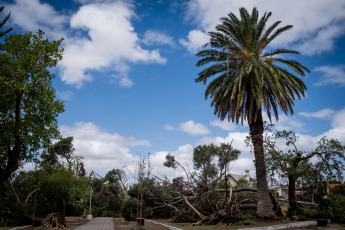 Bahía Blanca, Argentina.- En las fotos tomadas el 19 de diciembre del 2023, muestra los destrozos que aún quedan en las calles de Bahía Blanca tras el temporal que azotó la ciudad el fin de semana. El Servicio de Energía, EDES informó que logró restablecer el servicio al 55