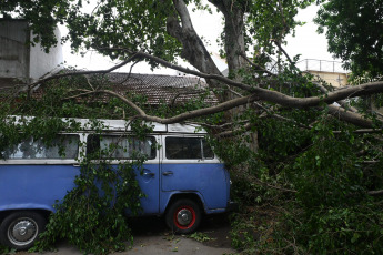 Buenos Aires, Argentina.- En las fotos tomadas el 20 de diciembre del 2023, personal del gobierno de la Ciudad de Buenos Aires continúan con los trabajos para despejar las calles de árboles, ramas y cables caídos provocados por el temporal. El Gobierno de la Ciudad, mediante un Decreto, creó un Régimen Especial de Subsidios para los damnificados por la “catástrofe meteorológica extraordinaria” del domingo 17 de diciembre para atender y paliar los daños ocasionados por los fuertes vientos que hayan sufrido tanto bienes inmuebles como automotores radicados en la Ciudad.