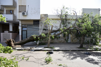 Bahía Blanca: En la foto tomada el 17 de diciembre de 2023, los destrozos que provocó el temporal. La fuerte tormenta, con lluvia y vientos que alcanzaron más de 140km/h, dejó como saldo hasta el momento 13 victimas fatales y al menos 14 personas heridas de gravedad. Varios techos se volaron y hubo caída de árboles.