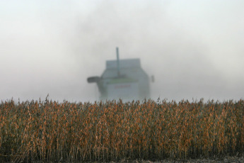 Buenos Aires.- En la foto tomada el 8 de enero de 2024, campos argentinos. Según un comunicado oficial de la Cámara de la Industria Aceitera de la República Argentina (CIARA) y el Centro de Exportadores de Cereales (CEC), durante 2023 se ingresaron u$s19.742 millones en total, casi la mitad del 2022. En diciembre los agroexportadores ingresaron u$s1.245 millones, lo que implicó una caída anual del 66%. A diferencia de las últimas tres campañas, tendrá este verano -de la mano del fenómeno de Él Niño'- un régimen de lluvias acorde con los cultivos y sin una fuerte ola de calor que pueda afectar a las plantaciones, aunque preocupa en el sector la posibilidad de que continúen eventos climáticos violentos como los que se dieron últimas semanas, con fuertes ráfagas de viento y caída de granizo.