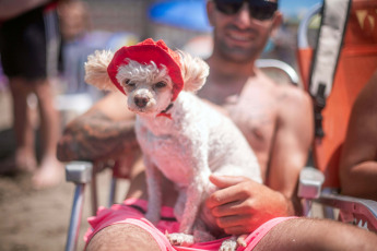 Mar del Plata, Argentina.- En las fotos tomadas el 29 de enero del 2024, las personas pasan tiempo al aire libre en medio de una ola de calor que afecta gran parte del país. La provincia de Mendoza, gran parte de Neuquén, Río Negro, localidades del este de La Pampa y de San Luis, y el sur de Buenos Aires se encuentran bajo alerta roja por calor extremo, el máximo nivel dispuesto por el Servicio Meteorológico Nacional, con temperaturas máximas que pueden llegar a los 38 grados.