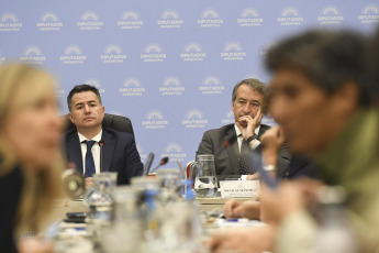 Buenos Aires, Argentina.- En las fotos tomadas el 16 de enero del 2024, el plenario de comisiones de la Cámara de Diputados retomó el debate del proyecto de ley "Bases y Puntos de Partida para la libertad de los argentinos", con la presencia de representantes de diferentes sectores.