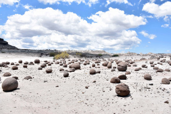 San Juan, Argentina.- En las fotos tomadas el 18 de enero del 2024, muestra el Parque Provincial Ischigualasto, en la provincia de San Juan, llamado por los diaguitas que pasaron por el lugar "Tierra donde no hay vida", que conforma junto al Parque Nacional Talampaya (La Rioja), el mayor conjunto continental de fósiles del mundo, y un paraíso para los entusiastas de los dinosaurios.