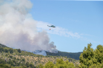 Rio Negro, Argentina.- En las fotos tomadas el 29 de enero del 2024, casi 100 brigadistas combaten por tierra el incendio en el Parque Nacional Los Alerces. El Servicio Meteorológico Nacional, reportó temperaturas récord de más de 40 grados Celsius en el país. Declarado Patrimonio de la Humanidad por la Organización de las Naciones Unidas para la Educación, la Ciencia y la Cultura, el sitio afectado es crucial para la conservación de especies de flora y fauna endémicas o en peligro de extinción.