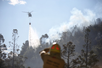 Chubut, Argentina.- En las fotos tomadas el 26 de enero del 2024, cuerpos de bomberos intentan controlar el incendio forestal en el Parque Nacional Los Alerces en Chubut. El incendio comenzó el jueves y la propagación del fuego hizo que se unieran dos focos ígneos cercanos, afectando aproximadamente 2,5 hectáreas de monte nativo, precisó la Subsecretaría de Ambiente en un comunicado.