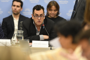 Buenos Aires.- En la foto tomada el 11 de enero de 2024, Leonardo Ciefelli. El plenario de comisiones de la Cámara de Diputados retomó hoy el análisis del proyecto de ley de "Bases y Puntos de Partida para la Libertad de los Argentinos" tras un cuarto intermedio dispuesto anoche por pedido de los bloques de Unión por la Patria (UxP) y la UCR, y oposición de los legisladores de La Libertad Avanza (LLA), que querían que pretendían continuar los debates