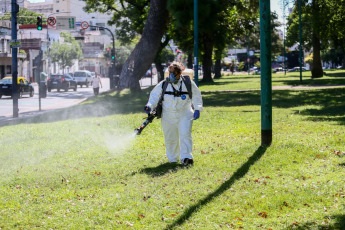 Buenos Aires, Argentina.- En las fotos tomadas el 3 de enero del 2024, el Ministerio de Espacio Público e Higiene Urbana de Buenos Aires reforzó la desinsectación de 29 parques, plazas y espacios verdes debido a la proliferación de mosquitos en la Ciudad. El 2023 marcó un récord de casos reportados de dengue en Argentina, con unas 135 mil personas infectadas y unos 70 fallecidos por la enfermedad transmitida por el mosquito Aedes aegypti, según datos del Ministerio de Salud.