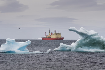 Antártida- En la foto tomada el 6 de enero de 2024, el rompehielos ARA Almirante Irízar llegó el sábado a la primera base antártica argentina Orcadas, en el marco de la Campaña Antártica de Verano (CAV), donde desembarcó víveres y parte de la nueva dotación que reemplazará a la saliente y personal científico, a la vez que replegó parte de la dotación que invernó este año en una operación que duró tres horas. Ubicada en la isla Laurie, entre la bahía Scotia y bahía Uruguay, debajo del paralelo 60° Sur que marca el ingreso al Sector Antártico Argentino y a más de 3.000 kilómetros de la Ciudad de Buenos Aires, desde donde partió el Irízar, la Base Orcadas recibió a diez nuevas personas que invernarán y replegó otras diez.