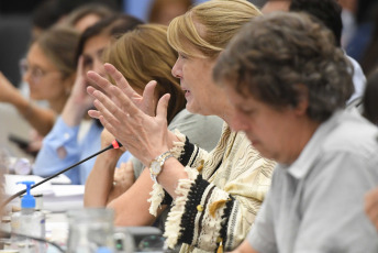 Buenos Aires, Argentina.- En las fotos tomadas el 23 de enero del 2024, Diputada Margarita Stolbizer. Arrancó el debate en el plenario de comisiones de Diputados por el proyecto de Ley de Bases, que propone cambios significativos en la regulación económica y las facultades del Gobierno.