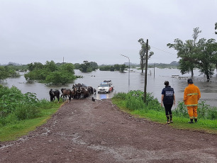 Corrientes, Argentina.- En las fotos tomadas el 15 de enero del 2024, muestra las zonas afectadas por las lluvias e inundaciones en la provincia argentina de Corrientes. La zona central de la provincia de Corrientes se vio afectada por fuertes lluvias, con precipitaciones acumuladas por unos 550 milímetros, que provocó el desborde de los ríos Santa Lucía y Corrientes, afectando a la producción ganadera, arrocera y tabacalera que la región.