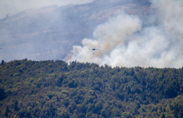 Rio Negro, Argentina.- En las fotos tomadas el 29 de enero del 2024, casi 100 brigadistas combaten por tierra el incendio en el Parque Nacional Los Alerces. El Servicio Meteorológico Nacional, reportó temperaturas récord de más de 40 grados Celsius en el país. Declarado Patrimonio de la Humanidad por la Organización de las Naciones Unidas para la Educación, la Ciencia y la Cultura, el sitio afectado es crucial para la conservación de especies de flora y fauna endémicas o en peligro de extinción.