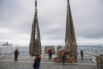 Antártida- En la foto del 13 de enero de 2024, el rompehielos ARA “Almirante Irízar”, tras haber efectuado tareas logísticas en la Base Antártica Conjunta Orcadas prosiguió su derrotero y arribó a Caleta Potter, donde fondeó frente a la Base Antártica Científica Carlini. Una vez allí, por medio de las embarcaciones de transporte de personal y vehículos, inició con la descarga de gasoil antártico (GOA), víveres secos, frescos y frigorizados; tubos de gas propano y 2 motores generadores diesel.